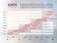 *100627 Парка мужская BALIAL
