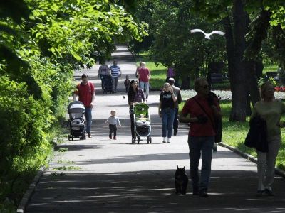 Жители регионов выбрали объекты, которые благоустроят в 2026 году