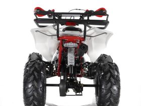 Квадроцикл MOTAX ATV Raptor Super LUX 125 cc