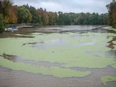 Парк с прудами