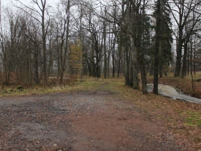 Парк "Дубки" (Кронколония)
