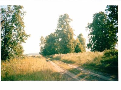 Священная роща