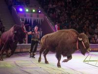 Таганрогский государственный цирк-шапито «Азовье»