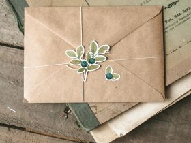 Стикеры Дворникова А. "Мухомор и ягоды"