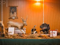 Осинский районный историко-краеведческий музей