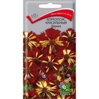 Кореопсис красильный Шарман