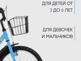 Детский велосипед Forward Barrio 16, год 2023, цвет Голубой