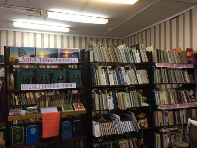 Красноборская сельская библиотека