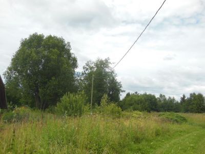 Усадьба Ванюкова. Парк