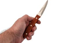 Набор из 5 кухонных ножей Fissman Maximus в деревянной подставке