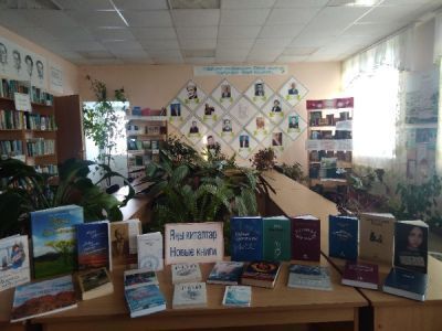 Чингизовская сельская модельная библиотека