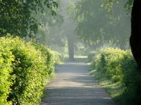 Парк культуры и отдыха «Загородный»