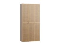 Распашной шкаф Флавир 3-120x250 Ротанг