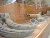 Первомайский районный краеведческий музей