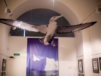 Нарвские Триумфальные ворота