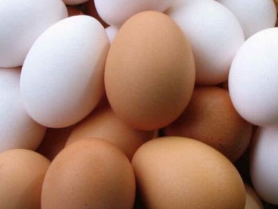 Роскачество исследует куриные яйца