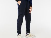 Мужские брюки Lacoste Jogger Fit