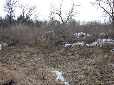 Усадьба Шереметьева