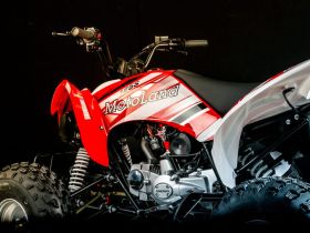 Квадроцикл MOTOLAND 250S