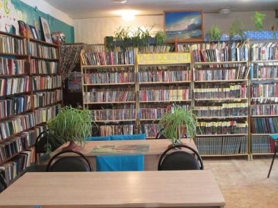 Чудиновская сельская библиотека