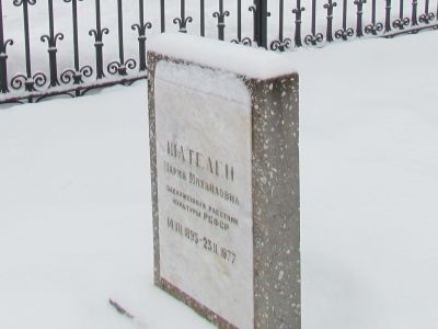 Могила Шателен М.М., общественного деятеля, внучки драматурга