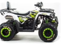 Квадроцикл MOTOLAND ATV 200 Wild Track