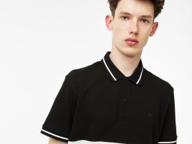 Мужское поло Lacoste стандартного кроя