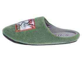 Тапочки для мальчиков