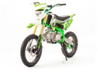 Питбайк MOTOLAND Apex125 E (2021 г.)