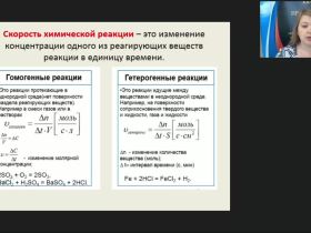 Международный вебинар "Скорость химической реакции. Химическое равновесие"