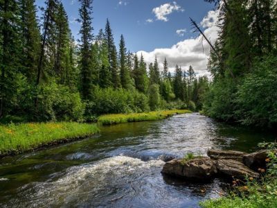 Пожароопасный сезон входит в активную фазу