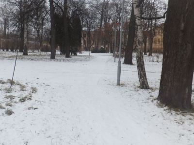Сад