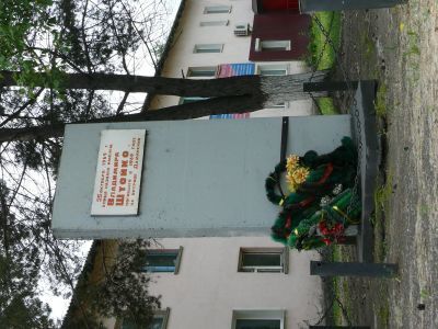 Памятник Штойко Владимиру, погибшему на острове Даманском в 1969 г.