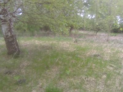 Усадьба, в которой после возвращения из ссылки жил и в 1872 г. умер член Общества соединенных славян Веденяпин Аполлон Васильевич