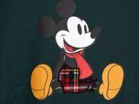 Комплект для мальчиков: фуфайка (футболка) трикотажная, шорты текстильные