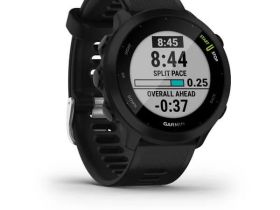 Смарт-часы Garmin Forerunner 55 (черный)