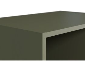 Стеллаж Энзо 50x250 Оливковый