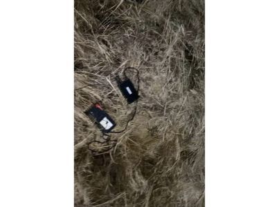 За использование электронных манков могут запретить охотиться