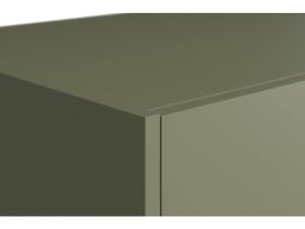 Распашной шкаф Изи 3.1-150x220 Оливковый