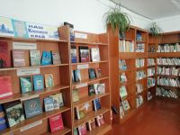 Новониколаевская сельская библиотека – филиал № 28