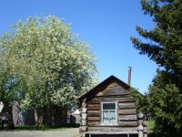 Усадьба матери В. М. Шукшина