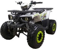 Квадроцикл AVANTIS Hunter 8 New
