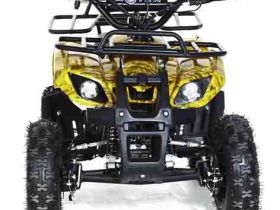 Квадроцикл MOTAX ATV Mini Grizlik X-16