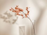 Ветвь Ramo d'autunno