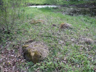 Часовня Успения