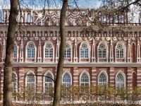 Государственный музей-заповедник «Царицыно»