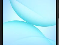 Смартфон Samsung Galaxy A17 8/256 ГБ SM-A175FZKOXME Чёрный