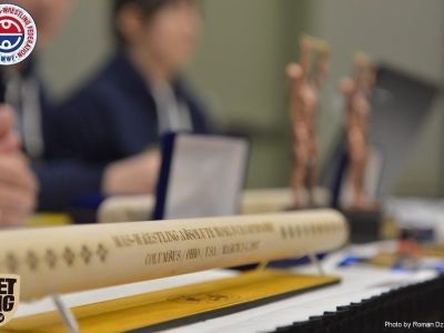 Итоги жеребьевки участников чемпионата мира в абсолютной категории