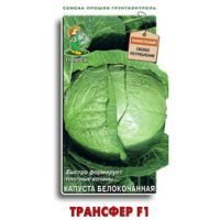 Капуста белокочанная Трансфер F1
