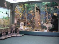 Областной краеведческий музей г. Биробиджана